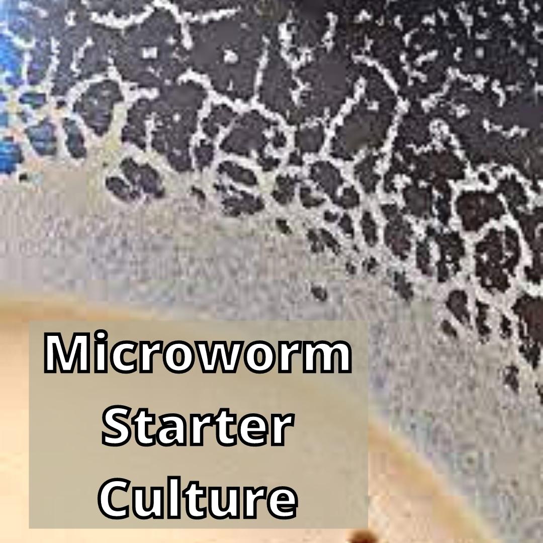 Microworms 2025 for sale