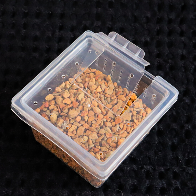 Gecko supplies cheap